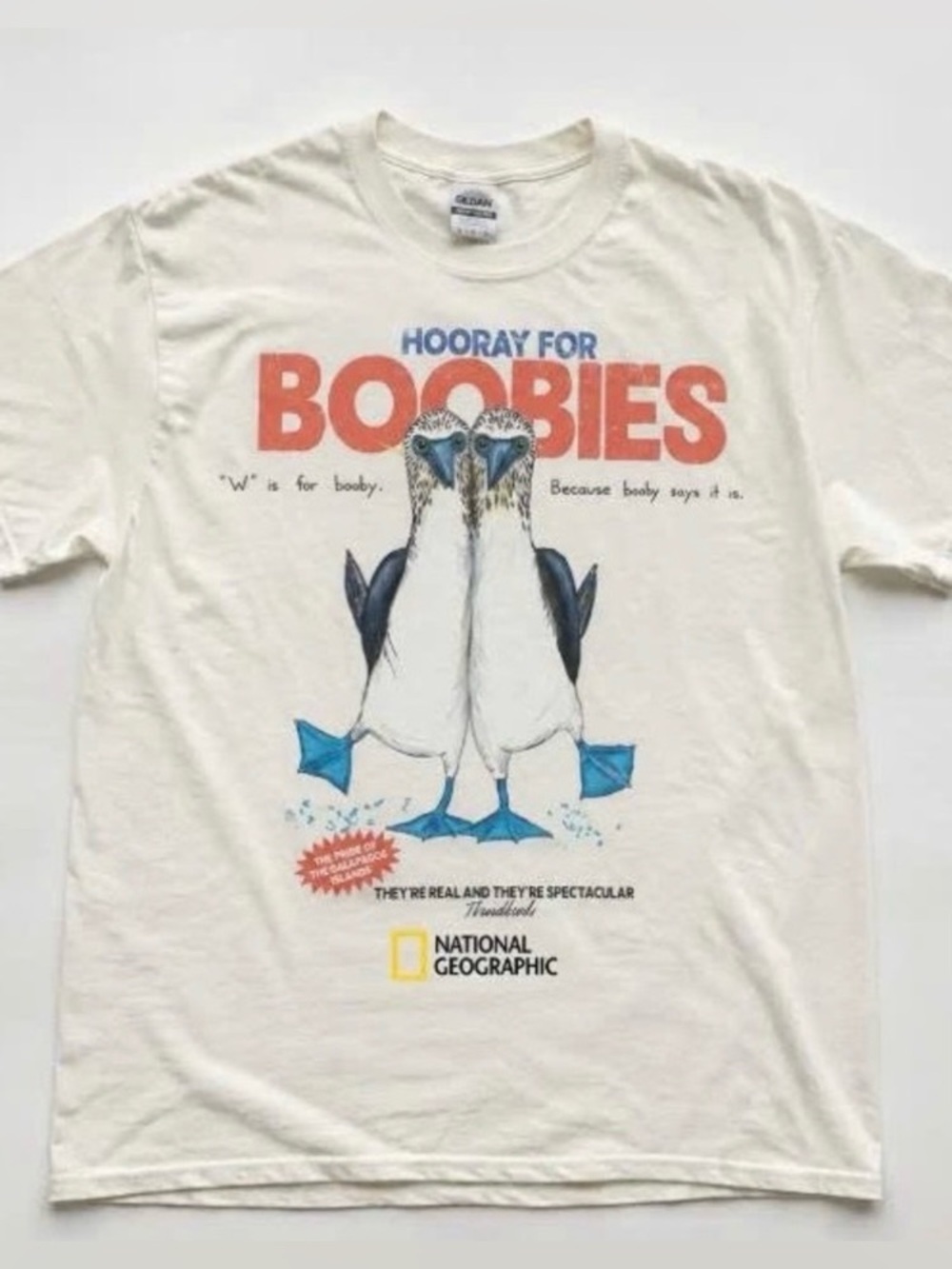 Gildan Cream Short Sleeve Tee with Blue and Orange Graphic